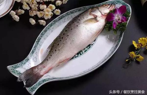 海洋鲈鱼   ocean perch